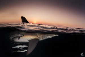 "Ok"
Another attempt at a sunset "BT" image that is kind... by Allen Walker 